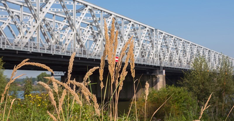 Bericht Ontheffingsaanvraag Soortenbescherming Wet natuurbescherming grote bruggen A27 Houten - Hooipolder bekijken